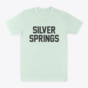 Silver Springs New York Classic Block Classic Dad T-Shirt