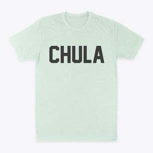 Chula Missouri Classic Block Classic Dad T-Shirt