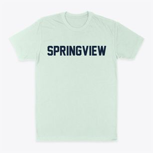 Springview Nebraska Classic Block Classic Dad T-Shirt