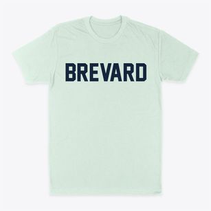 Brevard North Carolina Classic Block Classic Dad T-Shirt