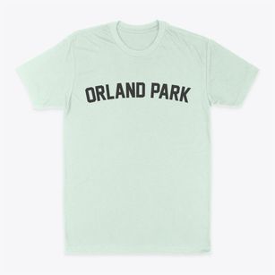 Orland Park Illinois Classic Curve Classic Dad T-Shirt