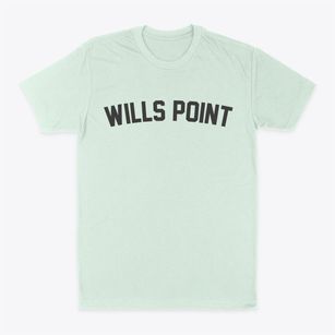 Wills Point Texas Classic Curve Classic Dad T-Shirt