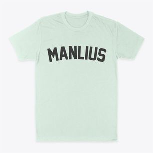 Manlius New York Classic Curve Classic Dad T-Shirt
