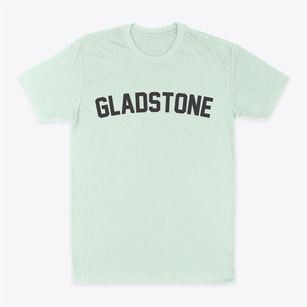 Gladstone Missouri Classic Curve Classic Dad T-Shirt