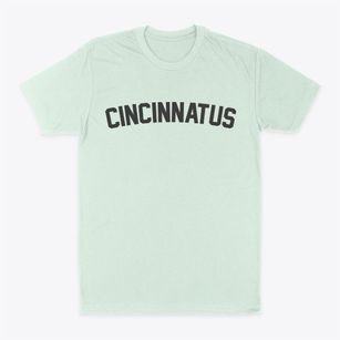 Cincinnatus New York Classic Curve Classic Dad T-Shirt