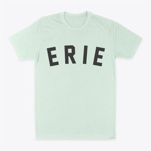 Erie Colorado Classic Curve Classic Dad T-Shirt