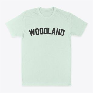 Woodland Illinois Classic Curve Classic Dad T-Shirt