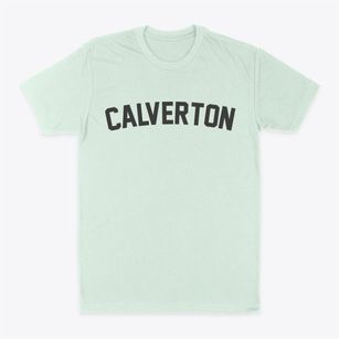 Calverton Virginia Classic Curve Classic Dad T-Shirt