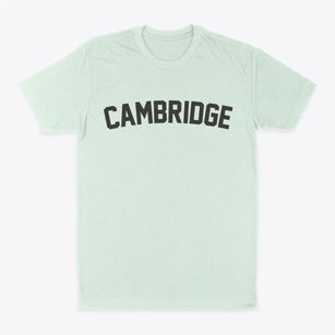 Cambridge Kentucky Classic Curve Classic Dad T-Shirt