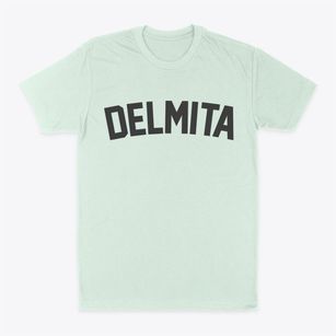 Delmita Texas Classic Curve Classic Dad T-Shirt