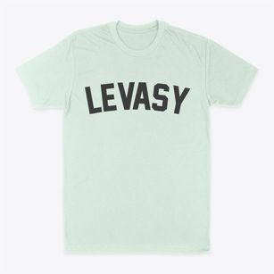 Levasy Missouri Classic Curve Classic Dad T-Shirt