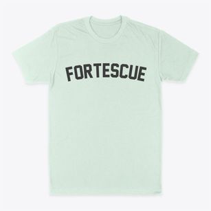 Fortescue Missouri Classic Curve Classic Dad T-Shirt