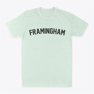 Framingham Massachusetts Classic Curve Classic Dad T-Shirt