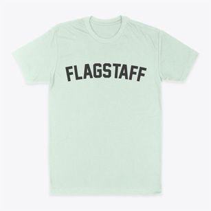 Flagstaff Arizona Classic Curve Classic Dad T-Shirt