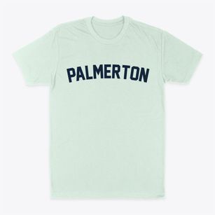 Palmerton Pennsylvania Classic Curve Classic Dad T-Shirt
