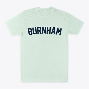 Burnham Illinois Classic Curve Classic Dad T-Shirt