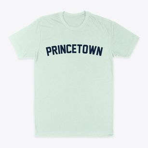 Princetown New York Classic Curve Classic Dad T-Shirt