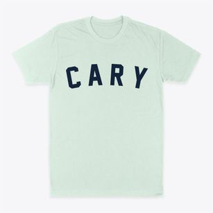 Cary North Carolina Classic Curve Classic Dad T-Shirt