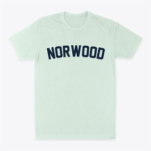 Norwood New York Classic Curve Classic Dad T-Shirt