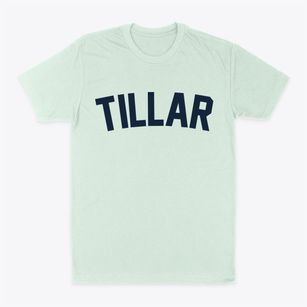 Tillar Arkansas Classic Curve Classic Dad T-Shirt