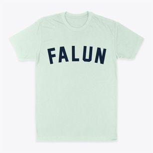Falun Kansas Classic Curve Classic Dad T-Shirt