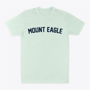 Mount Eagle Pennsylvania Classic Curve Classic Dad T-Shirt