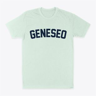 Geneseo New York Classic Curve Classic Dad T-Shirt