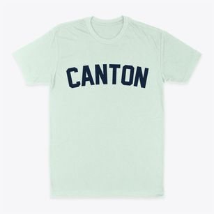 Canton Ohio Classic Curve Classic Dad T-Shirt