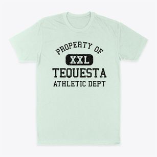 Tequesta Florida Athletic Dept Classic Dad T-Shirt