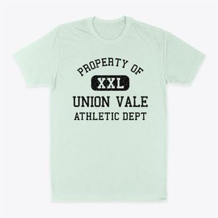 Union Vale New York Athletic Dept Classic Dad T-Shirt