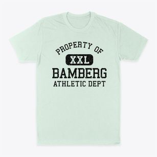 Bamberg South Carolina Athletic Dept Classic Dad T-Shirt