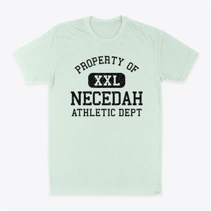 Necedah Wisconsin Athletic Dept Classic Dad T-Shirt