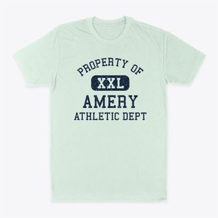 Amery Wisconsin Athletic Dept Classic Dad T-Shirt