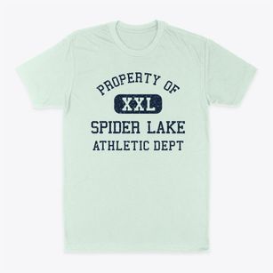 Spider Lake Wisconsin Athletic Dept Classic Dad T-Shirt