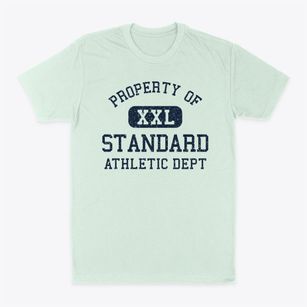 Standard Illinois Athletic Dept Classic Dad T-Shirt