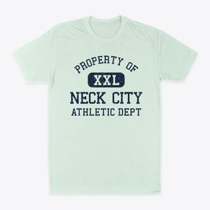 Neck City Missouri Athletic Dept Classic Dad T-Shirt