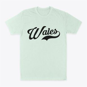 Wales Maine Vintage Team Classic Dad T-Shirt