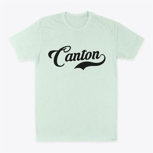 Canton Georgia Vintage Team Classic Dad T-Shirt