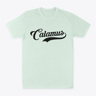 Calamus Wisconsin Vintage Team Classic Dad T-Shirt