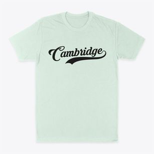 Cambridge Maine Vintage Team Classic Dad T-Shirt