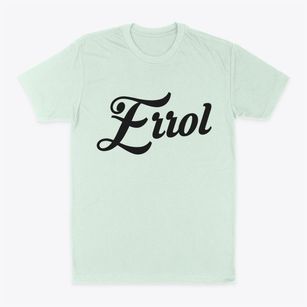 Errol New Hampshire Vintage Team Classic Dad T-Shirt