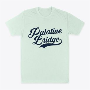 Palatine Bridge New York Vintage Team Classic Dad T-Shirt