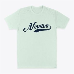 Newton Kansas Vintage Team Classic Dad T-Shirt