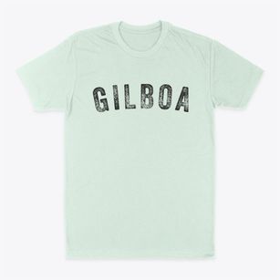 Gilboa New York Timeless Retro Classic Dad T-Shirt