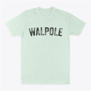 Walpole Massachusetts Timeless Retro Classic Dad T-Shirt
