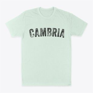 Cambria Wisconsin Timeless Retro Classic Dad T-Shirt