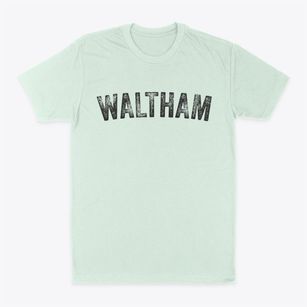 Waltham Maine Timeless Retro Classic Dad T-Shirt