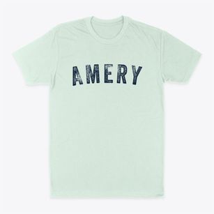 Amery Wisconsin Timeless Retro Classic Dad T-Shirt