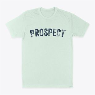 Prospect New York Timeless Retro Classic Dad T-Shirt
