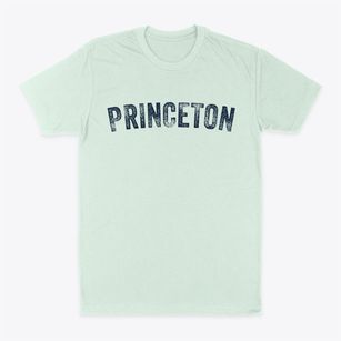 Princeton Texas Timeless Retro Classic Dad T-Shirt